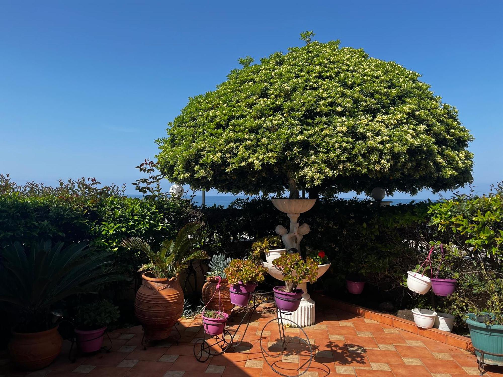 Family Sea&Garden View Apartment Preveza Exterior foto